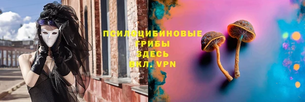 дурь Кинешма