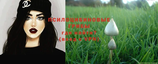 амф Киреевск